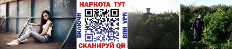 Купить Унеча A PVP МАРИХУАНА