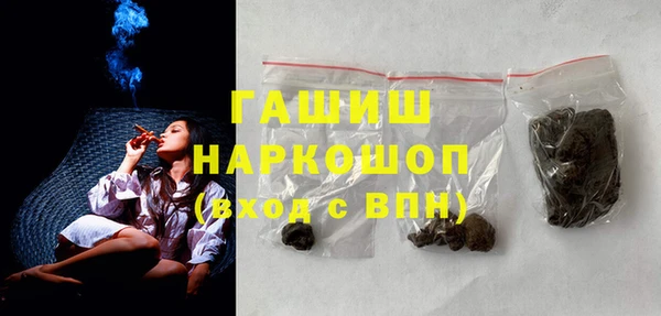 сатива Беломорск