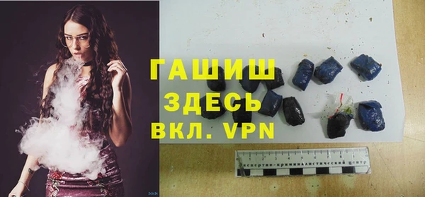 сатива Беломорск