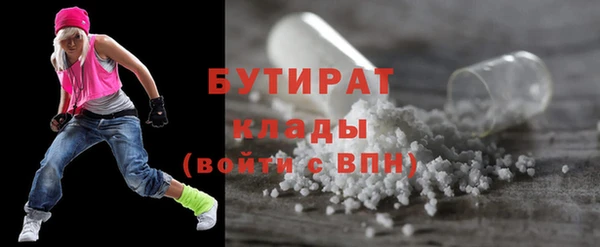 сатива Беломорск