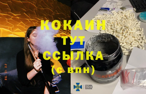 сатива Беломорск