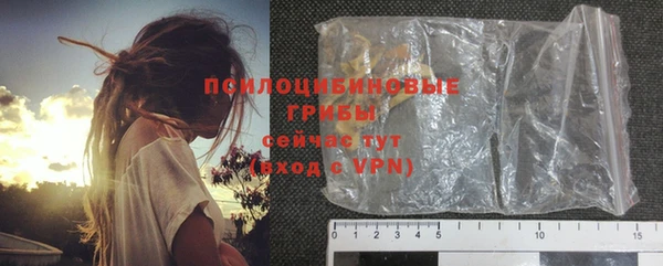 спиды Белокуриха